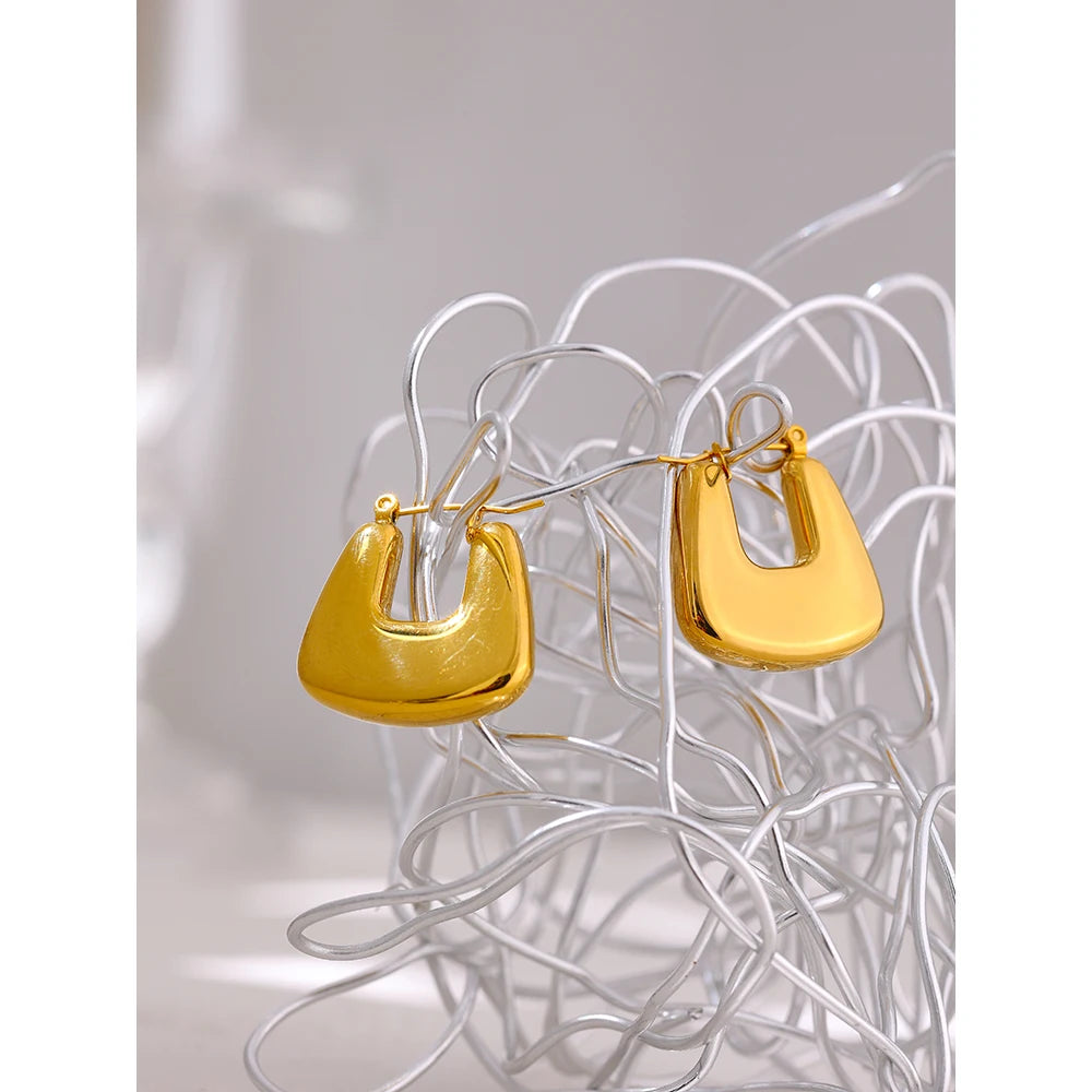 Texture Geometric Chunky Unusual Earrings