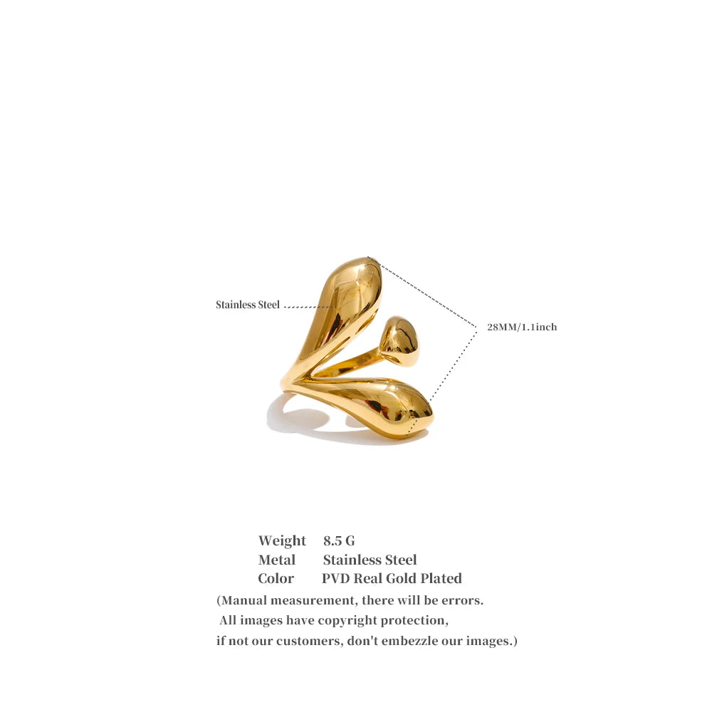 Dual Curve Ring