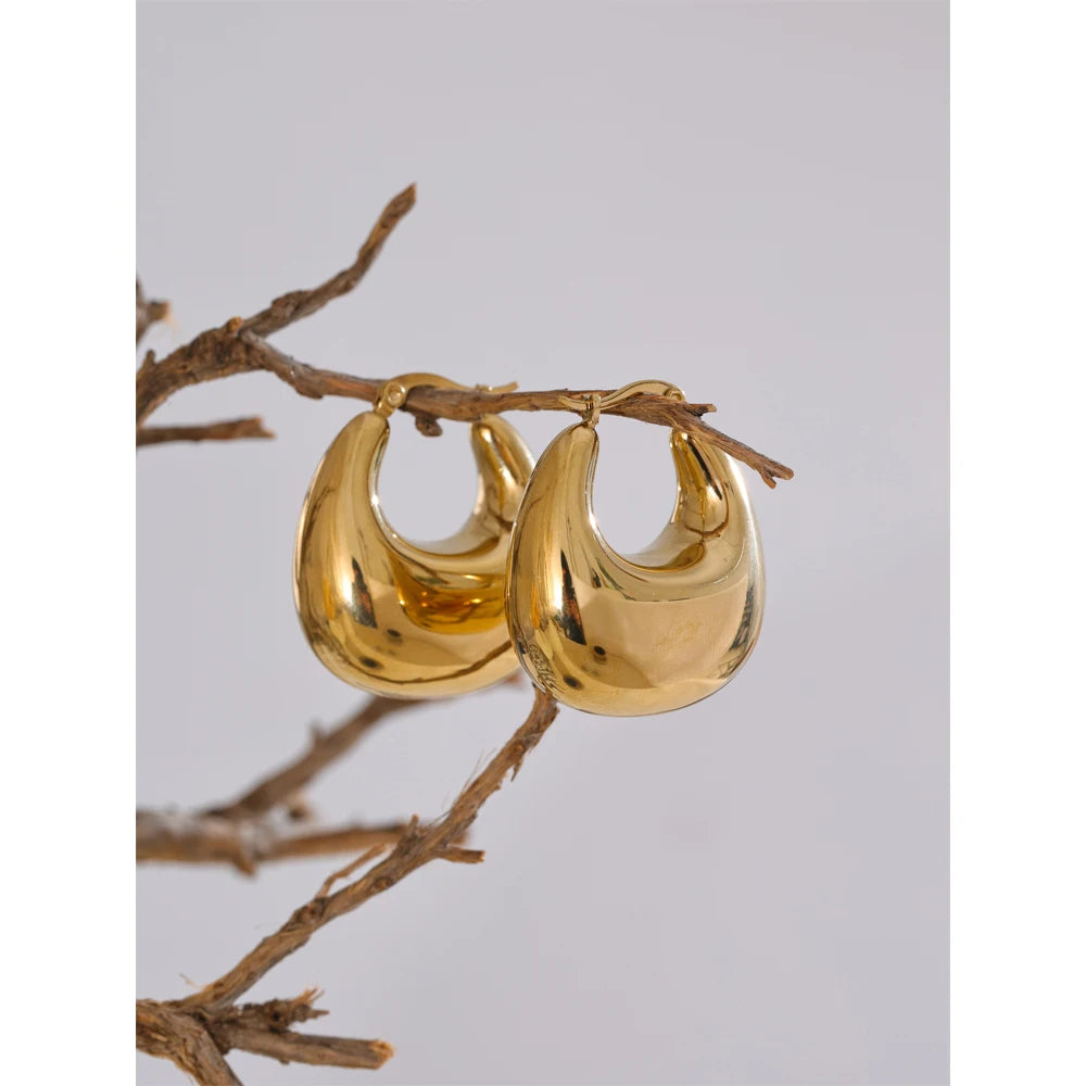 Chunky Hollow Hoop Earrings